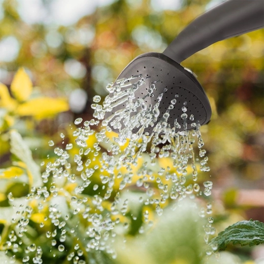 Gentle sprinkling or steady stream