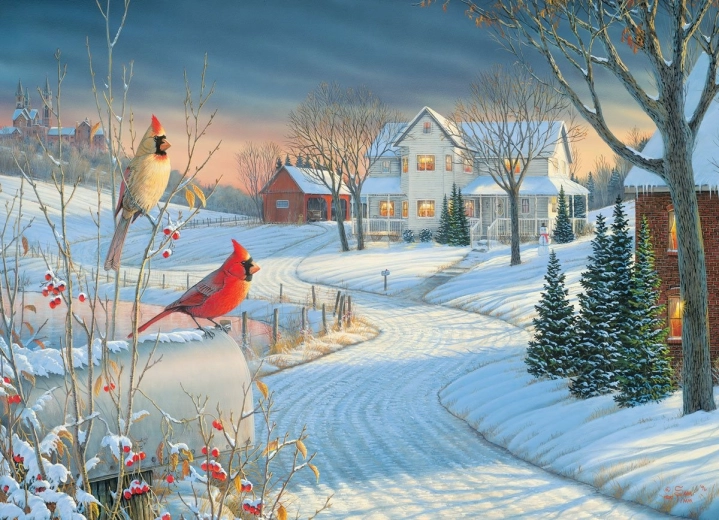 Eurographics pusle Country cardinals, autor Sam Timm, 1000 tükki