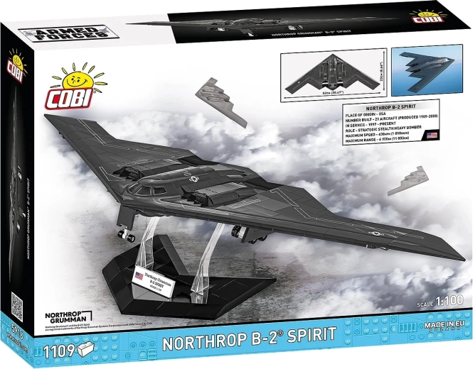 Accurate stealth “flying wing” in 1:100 scale