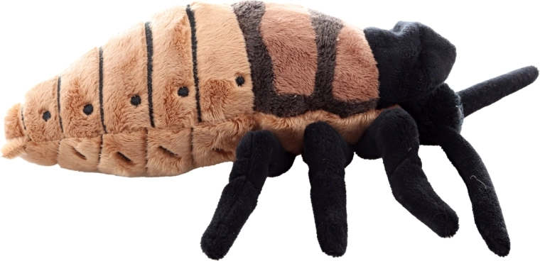 Realistlik disain ja detailne teostus