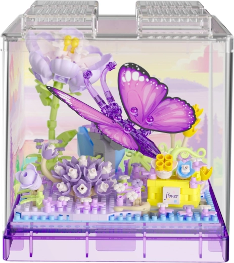 Transparent display box
