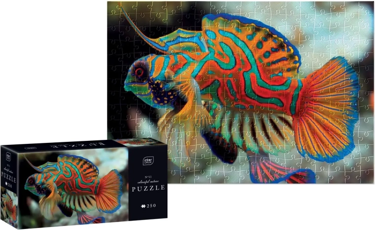 Puzzle Colorful Nature – mandarin dragonet, 250 pieces