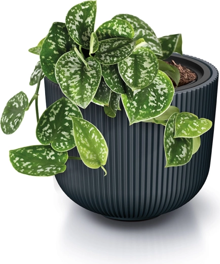 Self-watering comfort with gauge