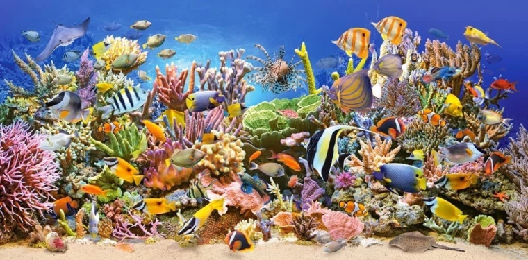 Puzzle Underwater Life 4000 pieces CASTORLAND