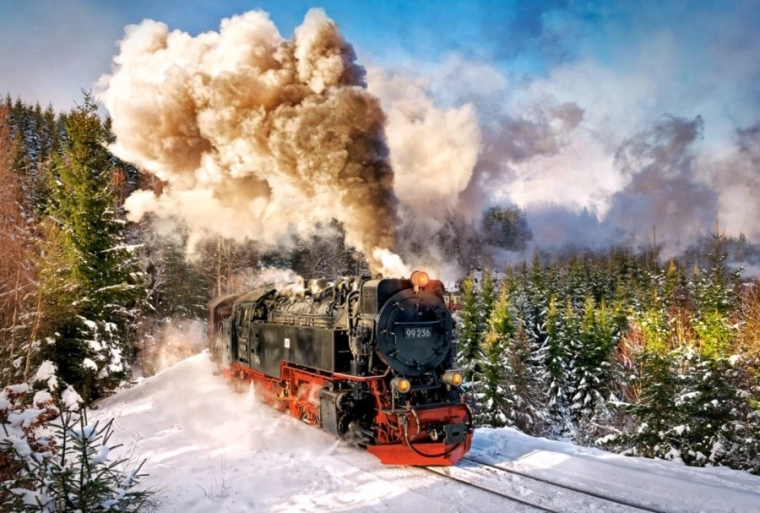 Pusle 1000 tükki Steam Train