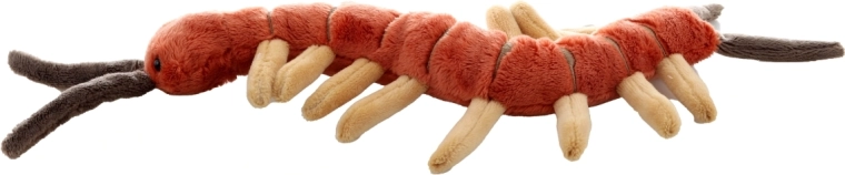 Ideaalne suurus koju ja reisile