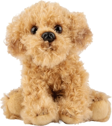 Pehme koer Labradoodle