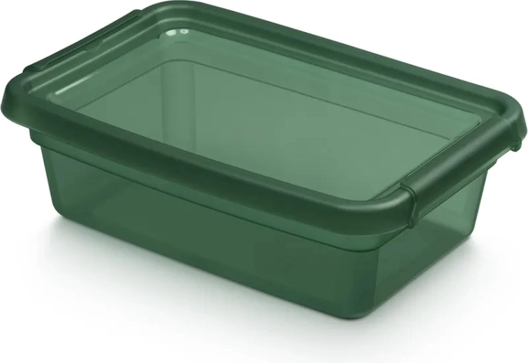 BASESTORE plastist hoiukast kaane ja klambritega 3 l PINE