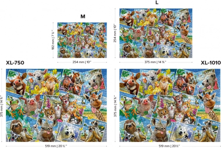 Kahepoolsed tükid topeltlõbu jaoks