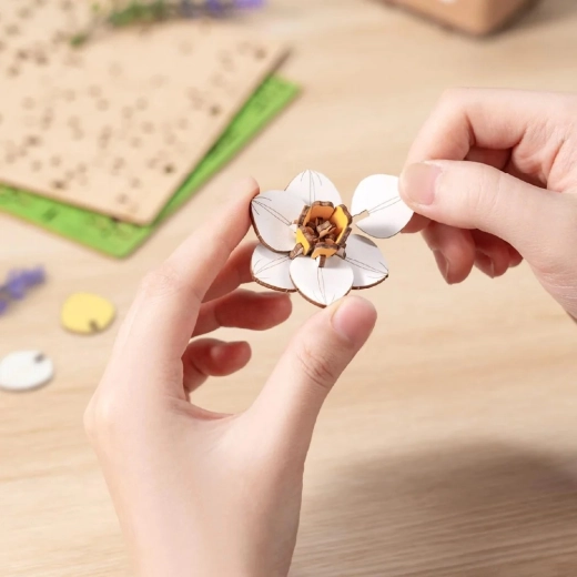 Assembly without glue or tools