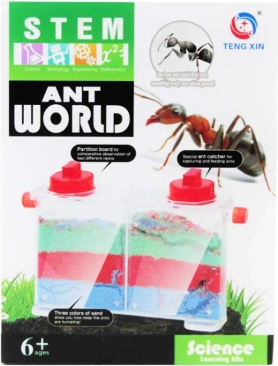 Creative set – world of ants
