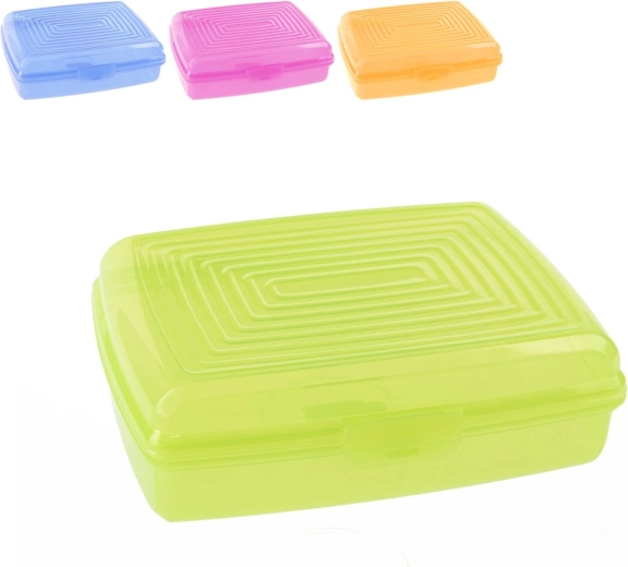 Plastic lunch box