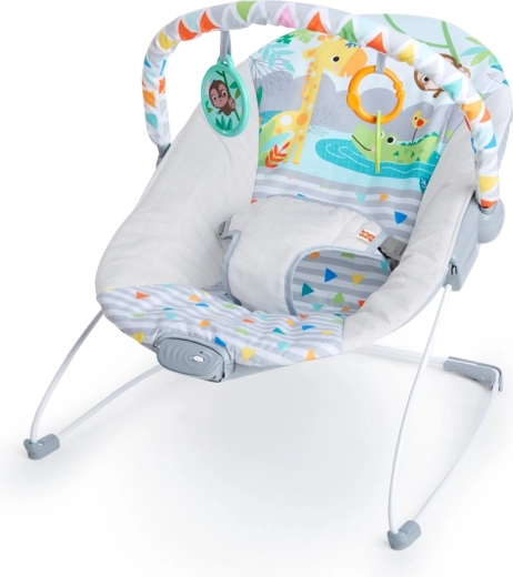 Bright Starts vibreeriv beebikiik Safari fun