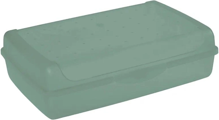 Luca click box maxi hoiukarp kaanega 3,7 l, roheline