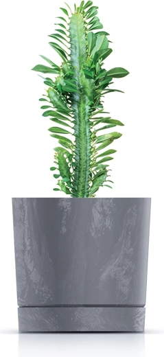 Ideal for succulents, herbs, and small plants