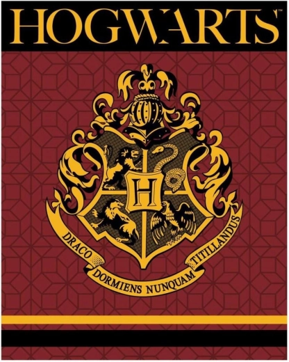 Harry Potteri XL fliistekk