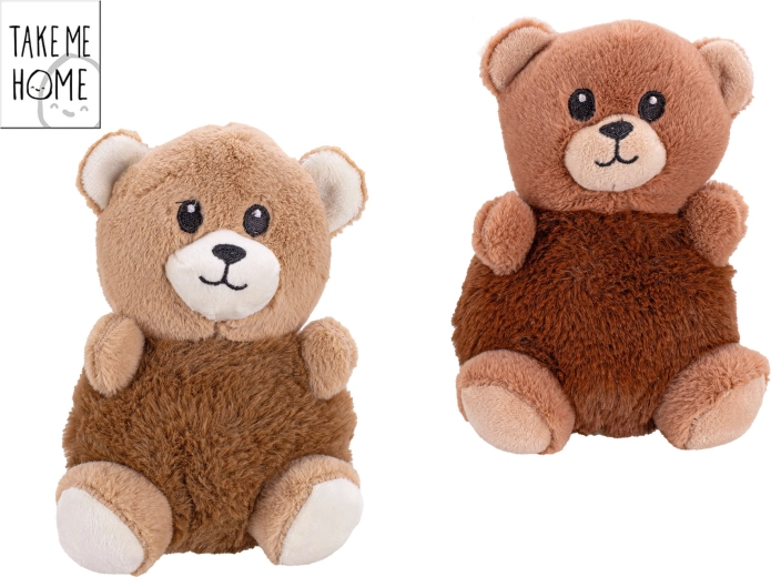 Take Me Home Plush Teddy Bear 15 cm