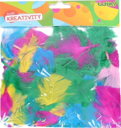 Dekoratiivsete sulgede loovkomplekt – assortii