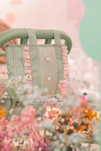 Removable bag and practical storage space