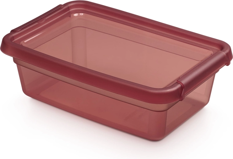 Basestore hoiukarp kaanega ja klambritega 3 l, 19 × 28 × 9 cm, rabarber