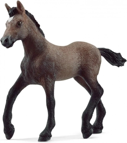 Paso Peruano Foal Horse Club