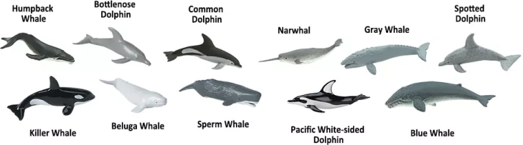 Learning and English: names are usually on the figurines