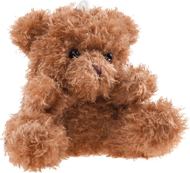 Plush Teddy Bear Keychain 10 cm – Brown
