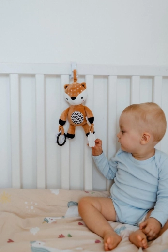 Õrn kõrin meeleliseks arenguks