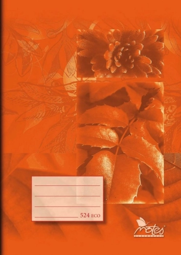 Notes A5 Lined Notebook from Recycled Paper, Orange, 20 Sheets