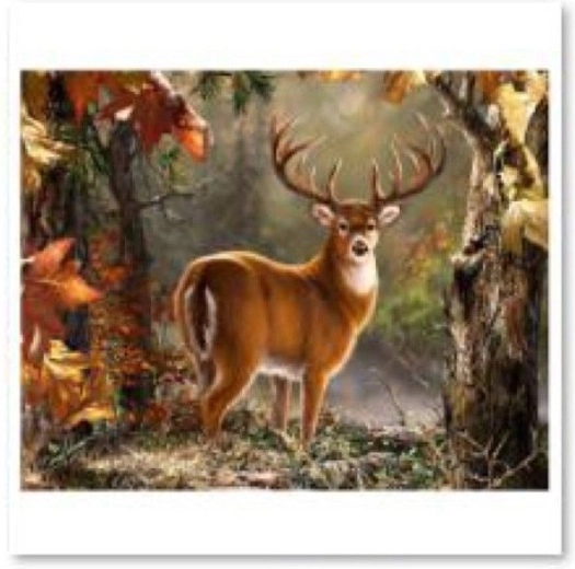 Teemantmaal (diamond painting) – väärikas hirv 40 × 30 cm