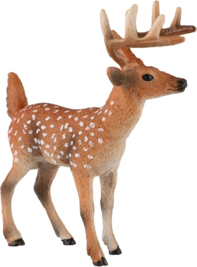 Distinctive palmate antlers