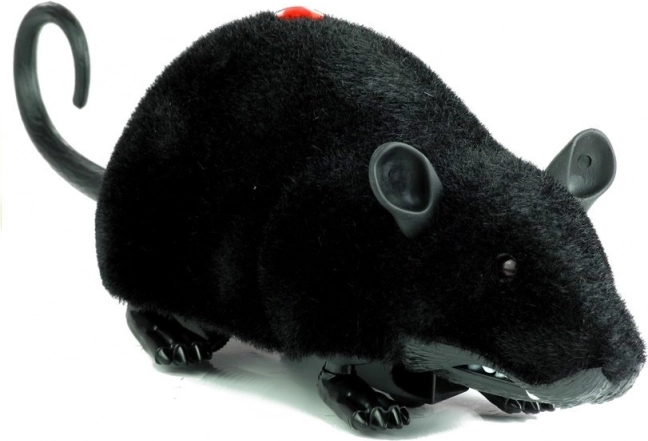 Large Black Remote-Controlled Mouse R/C on Wheels