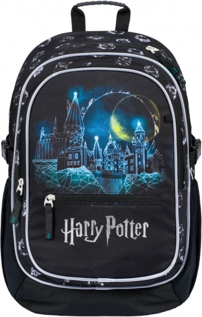 Harry Potteri Sigatüüka koolikott