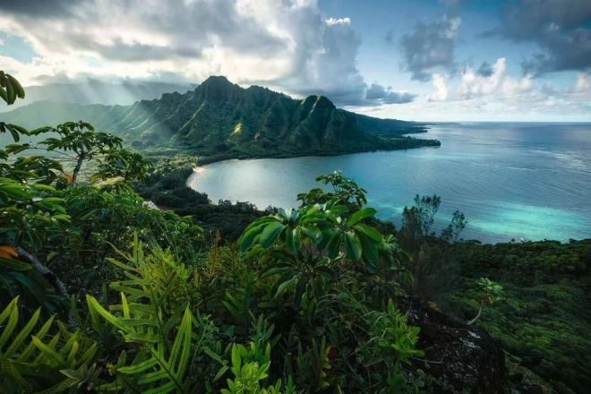 Ravensburgeri pusle Hawaiian Viewpoint 5000 tükki