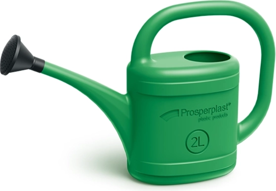 Spring garden watering can 2 l green
