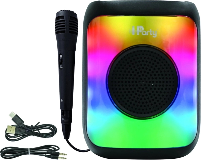 Portable speaker with multiple connection options