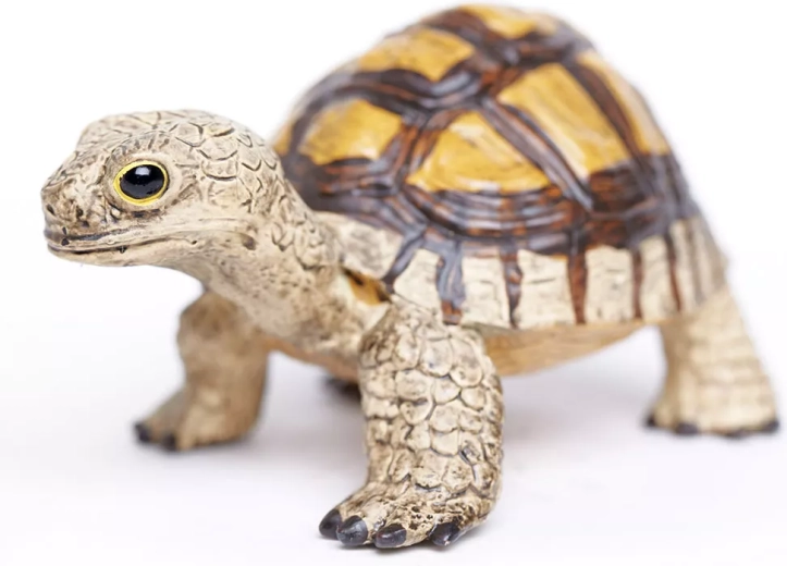 Learning through play with Safari Ltd.