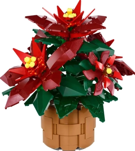 Detailed Grande Italia poinsettia in a woven flowerpot