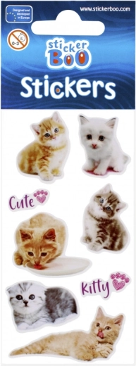 Compact pack 18 × 6 cm