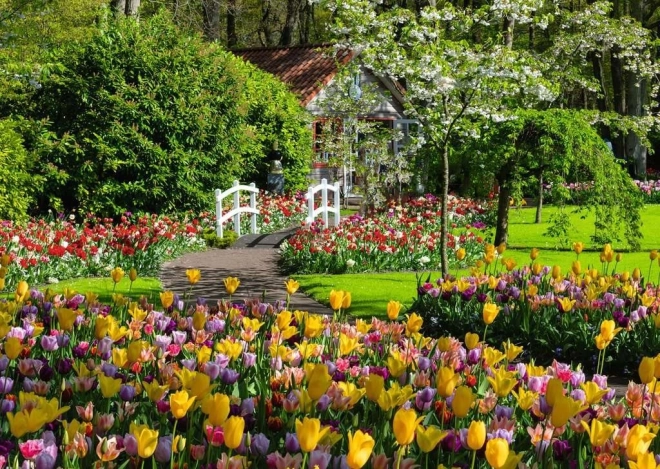 RAVENSBURGER 1000-Piece Puzzle – Beautiful Keukenhof Gardens, Netherlands