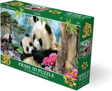 Panda 3D pusle