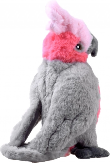 Realistlikud detailid, mis köidavad