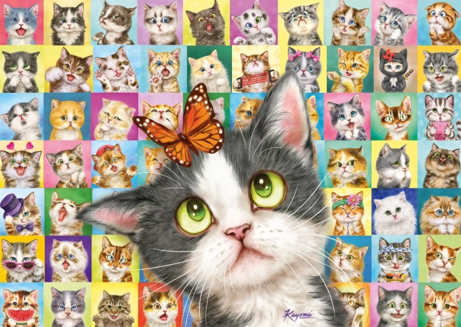 Puzzle SCHMIDT – Cat Expressions, 1000 Pieces