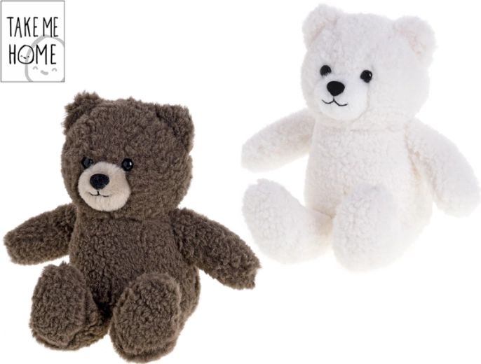Take Me Home Plush Teddy Bear 24 cm