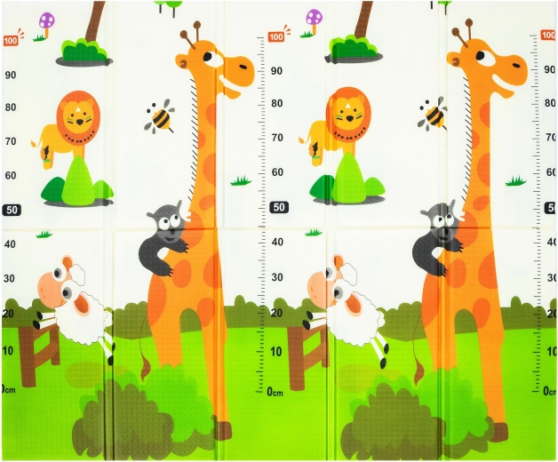 Double-sided educational animal design