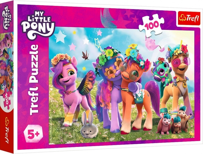 Trefl pusle My Little Pony Lõbusad ponid 100 tükki