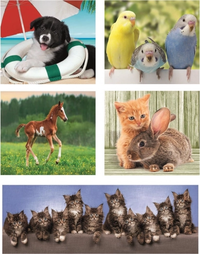 10 puslet ühes pakendis