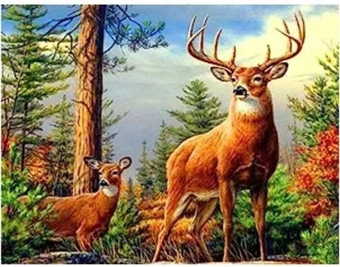 Norimpex teemantmaalimine hirv mägedes 30 × 40 cm