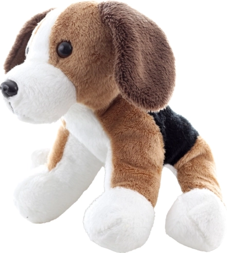 Armsad beagle’i detailid