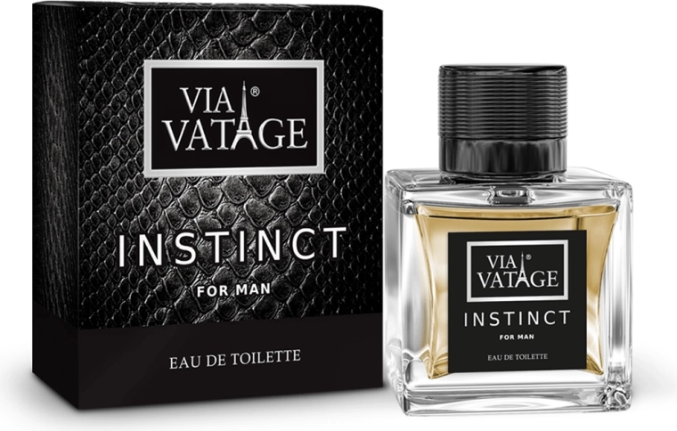Meeste tualettvesi BI-ES Via Vatage Instinct 100 ml